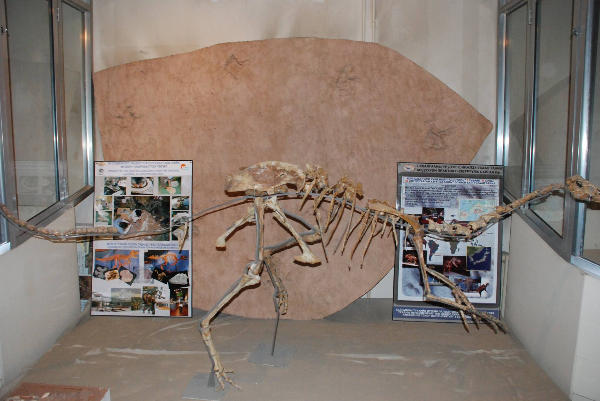 Дэлхийд гайхагдах Монголын үлэг гүрвэл үзэсгэлэн нээлтээ хийнэ